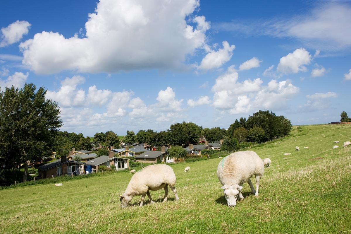 Tip! Vakantiedorp Het Grootslag 